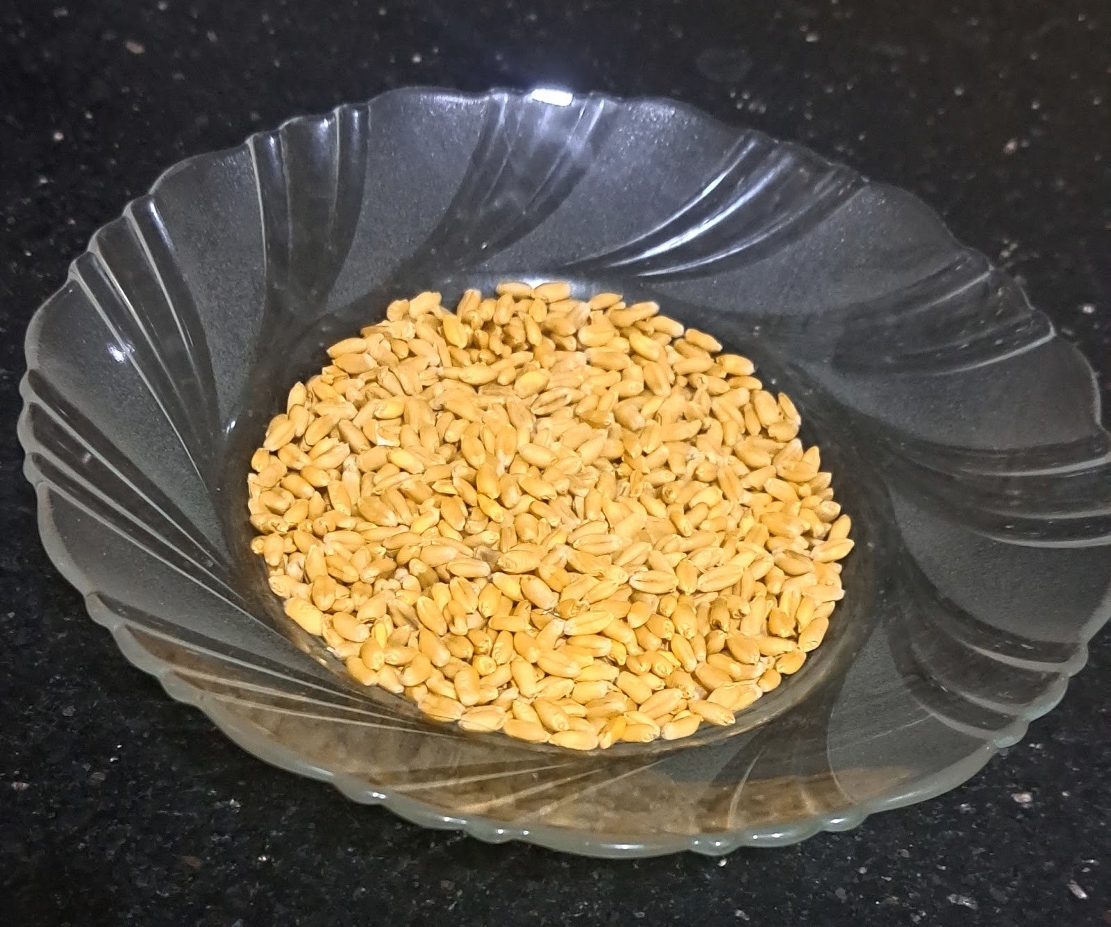 حبوب القمح قبل الطهي